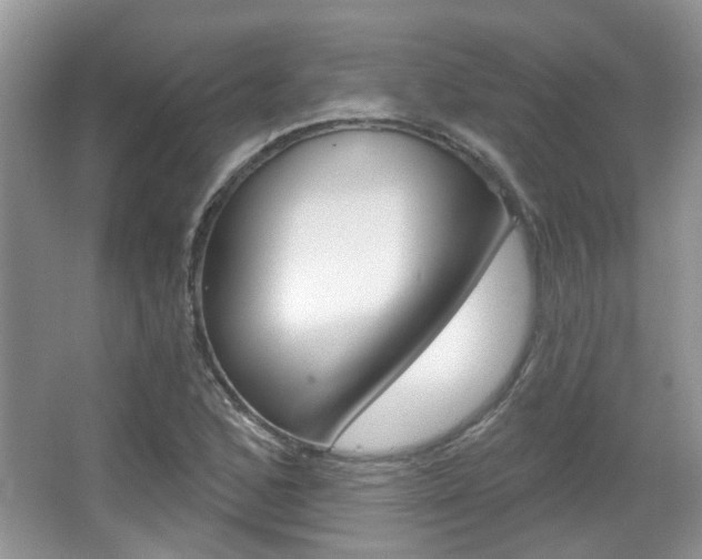 X0000067371168200603310947