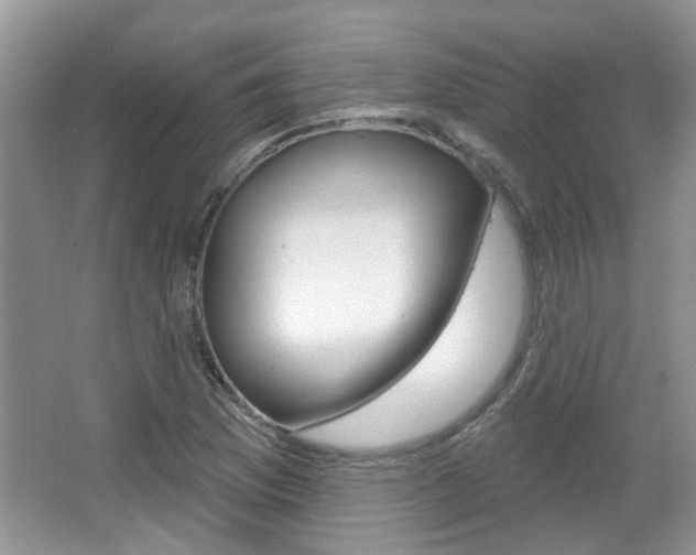 X0000067371169200603310947