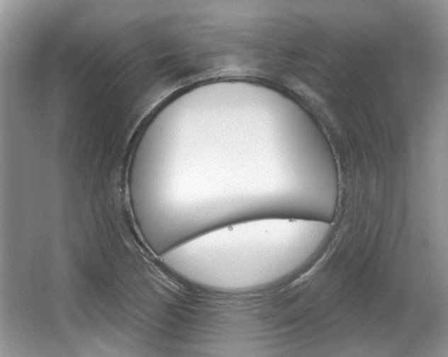 X0000067371170200603310947