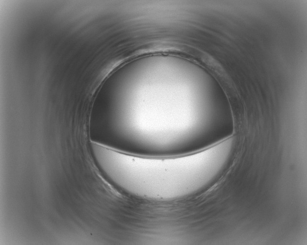 X0000067371177200603310947
