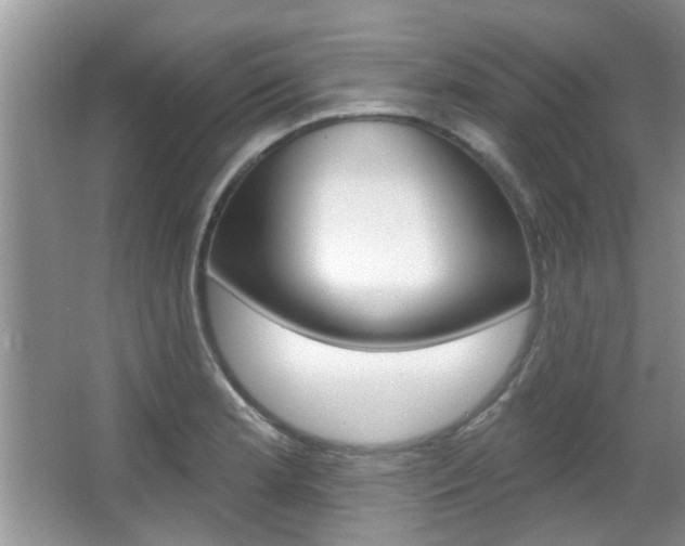 X0000067371181200603310946