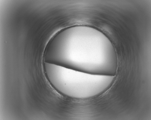 X0000067371182200603310946