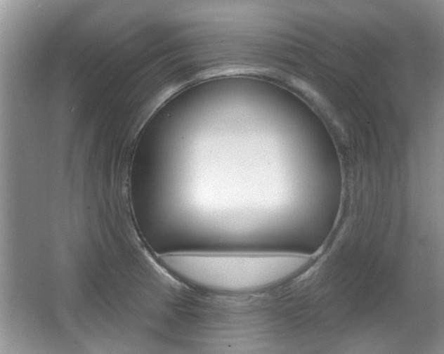 X0000067371185200603310946