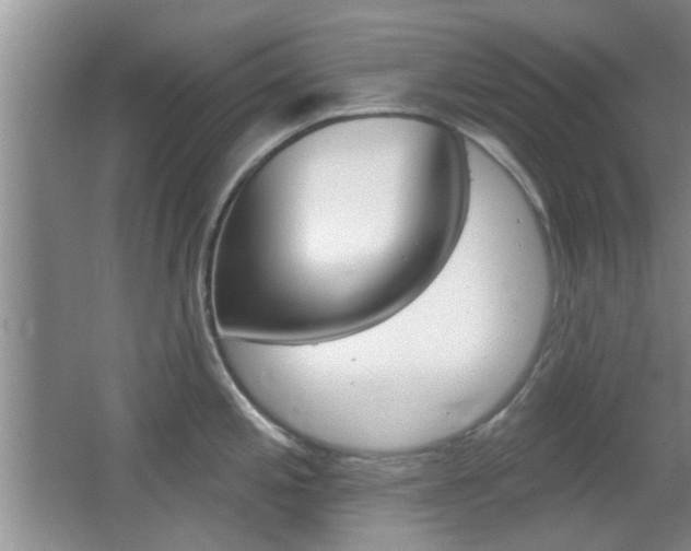 X0000067371197200603310946