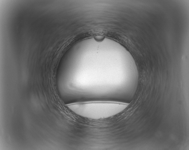 X0000067371201200603310945