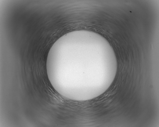 X0000067371202200603310945