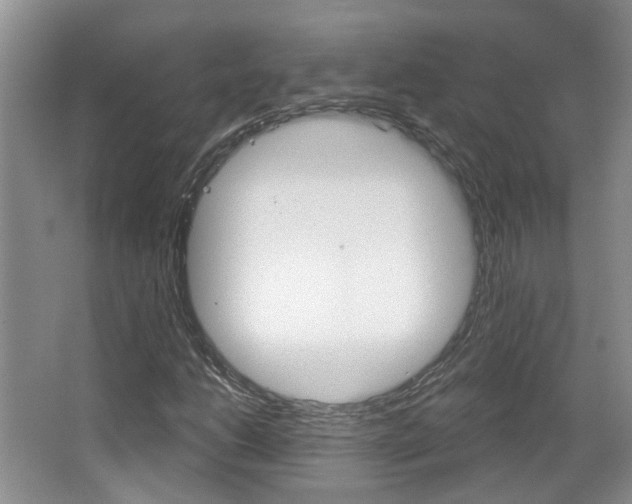 X0000067371206200603310945