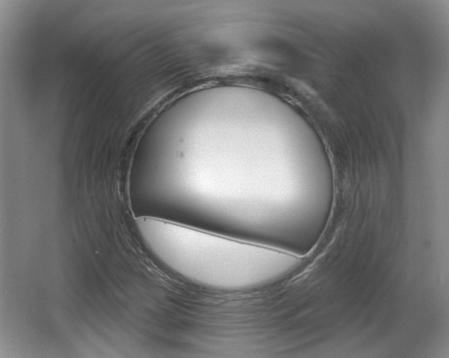 X0000067371209200603310945