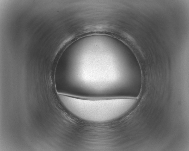 X0000067371218200603310946
