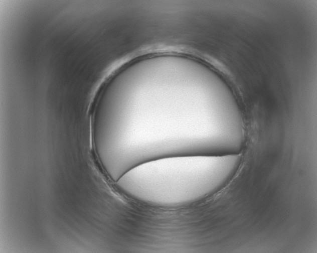 X0000067371223200603310946