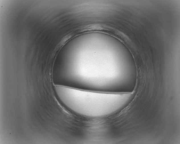 X0000067371225200603310946