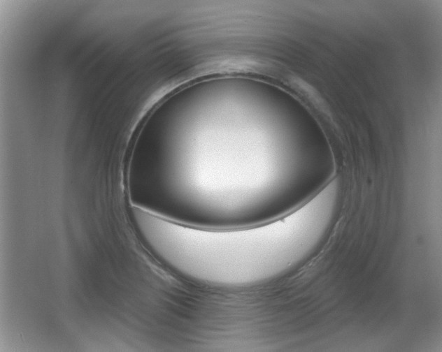 X0000067371226200603310946