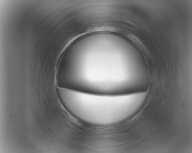 X0000067371228200603310946