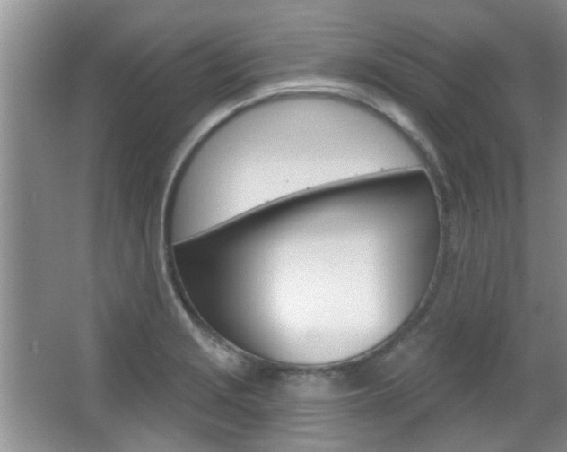 X0000067371229200603310946