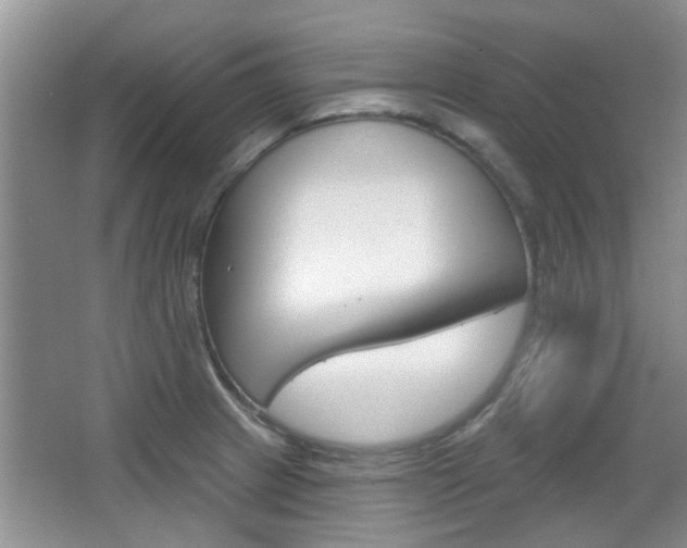 X0000067371233200603310946