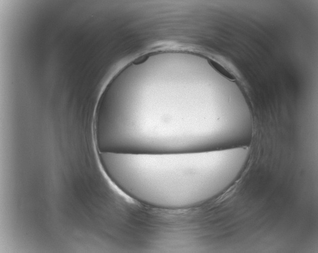 X0000067371247200603310946