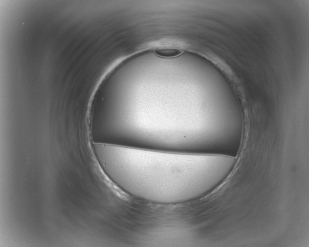 X0000067371248200603310946