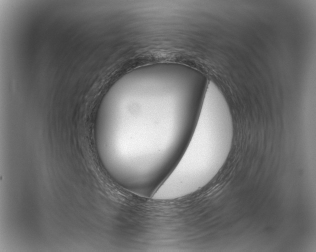 X0000067371249200603310945