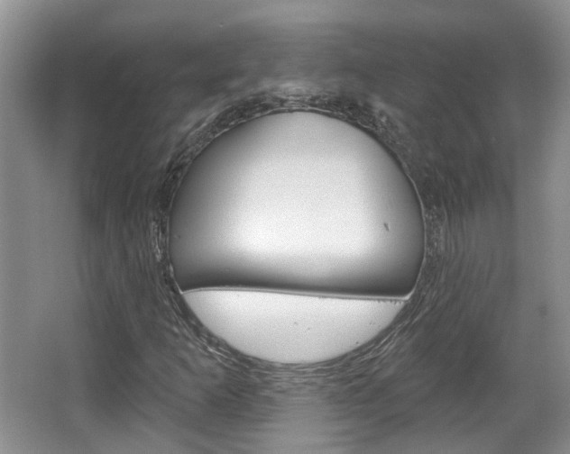 X0000067371253200603310945