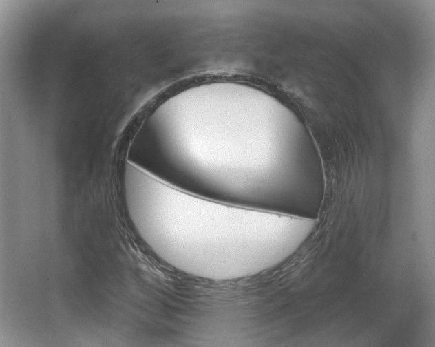 X0000067371256200603310945