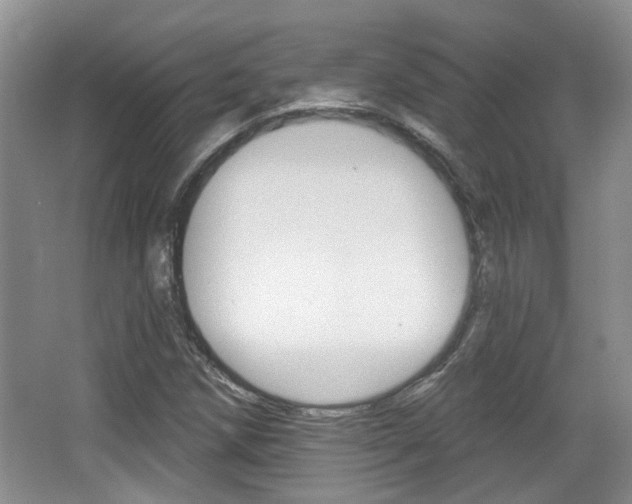 X0000067371258200603310945