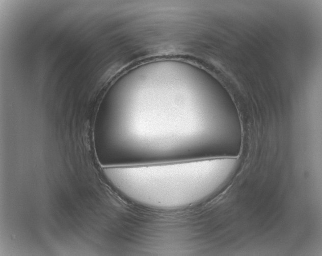 X0000067371265200603310945