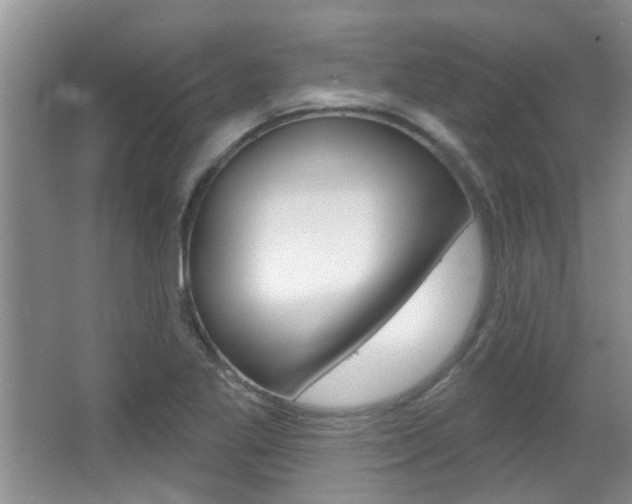 X0000067371269200603310945