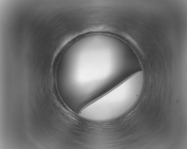 X0000067371270200603310945