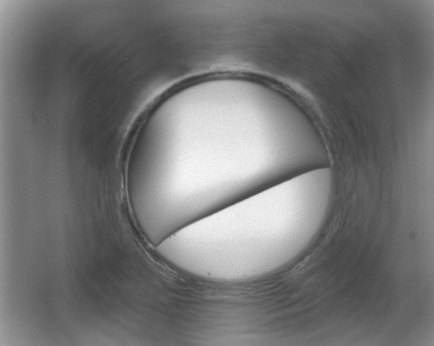 X0000067371271200603310945