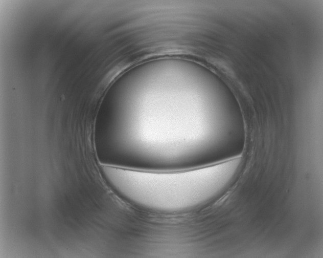X0000067371273200603310945