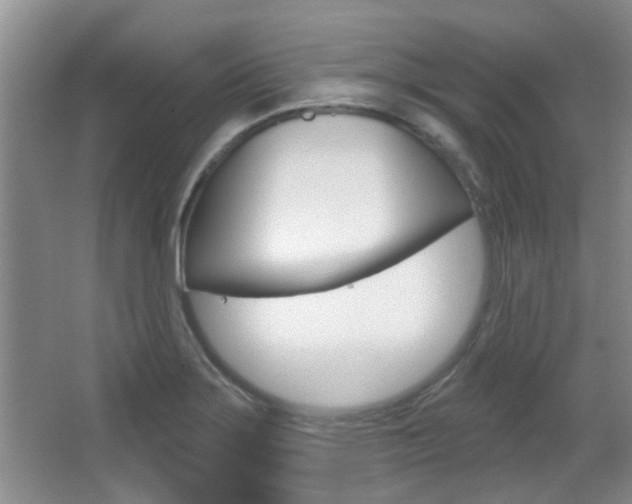 X0000067371275200603310945