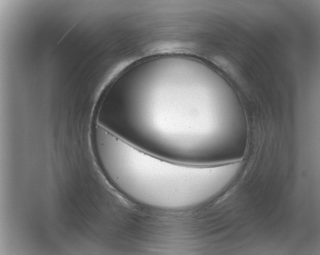 X0000067371277200603310945