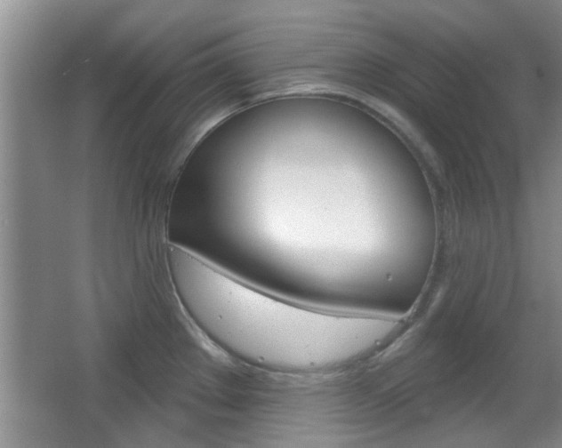 X0000067371289200603310945