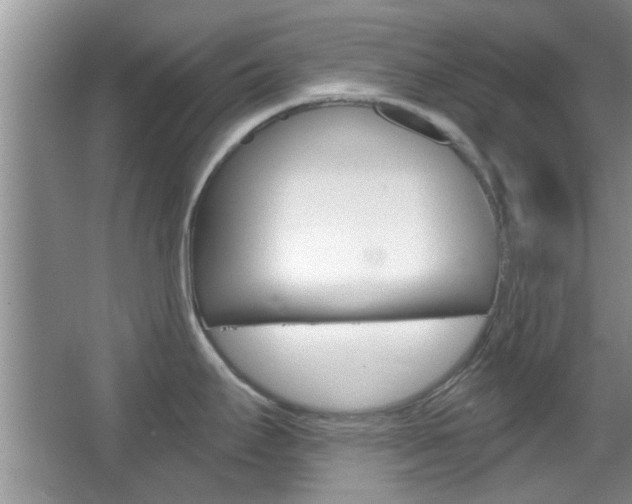 X0000067371295200603310945
