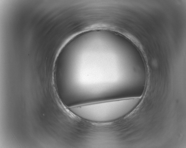 X0000067371296200603310945