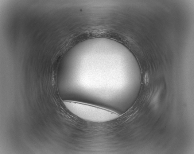 X0000067371299200603310944