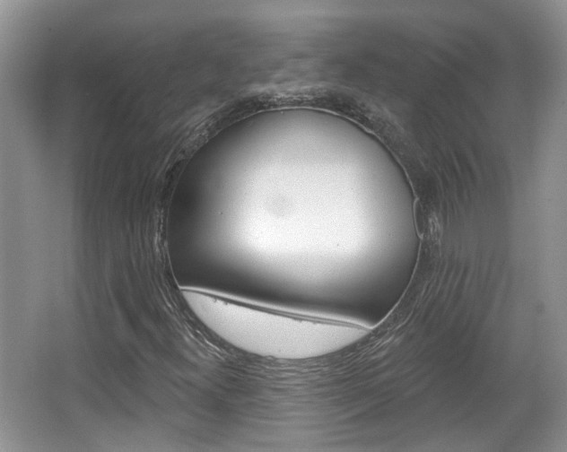 X0000067371300200603310944
