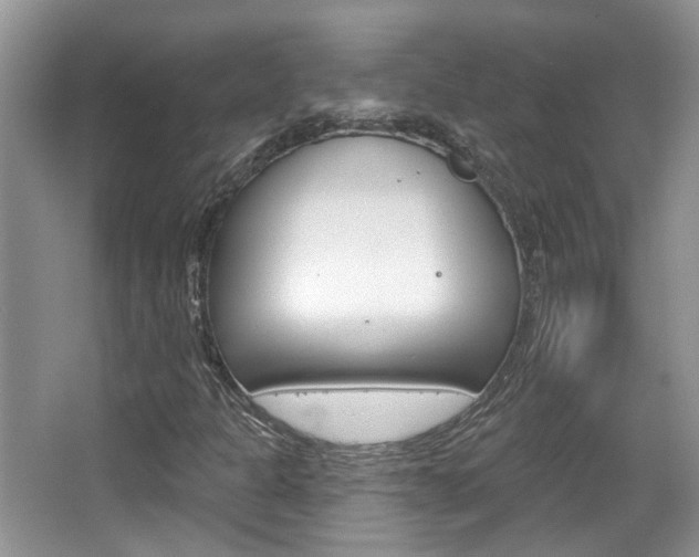 X0000067371301200603310944