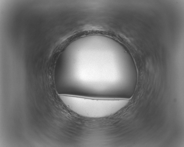 X0000067371303200603310944