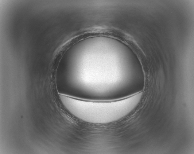 X0000067371304200603310944
