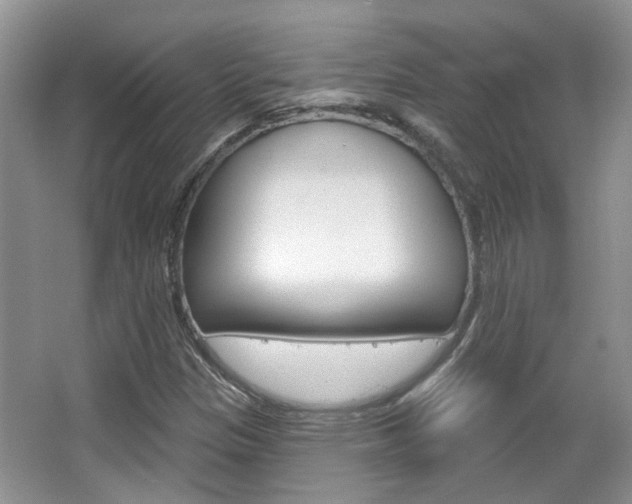 X0000067371305200603310944