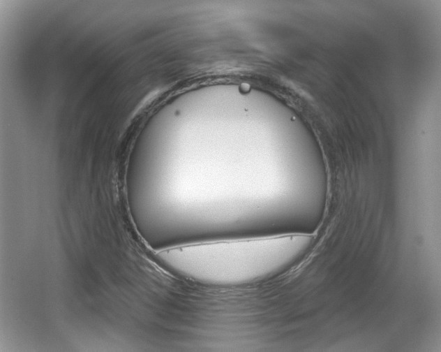 X0000067371306200603310944