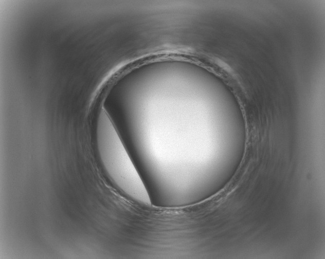 X0000067371310200603310944