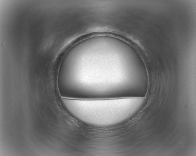 X0000067371311200603310944