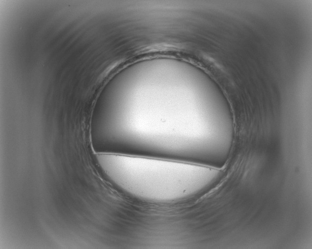 X0000067371313200603310944