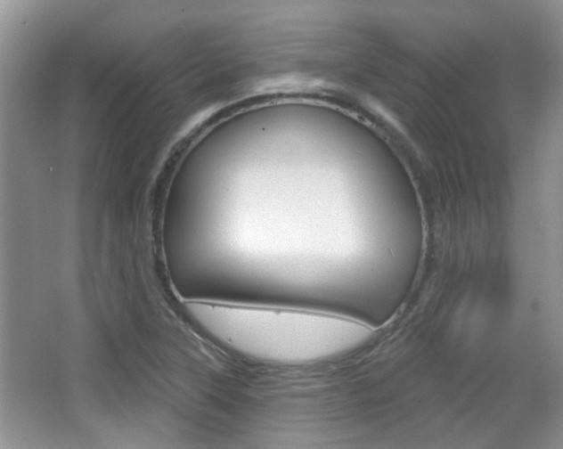 X0000067371315200603310944