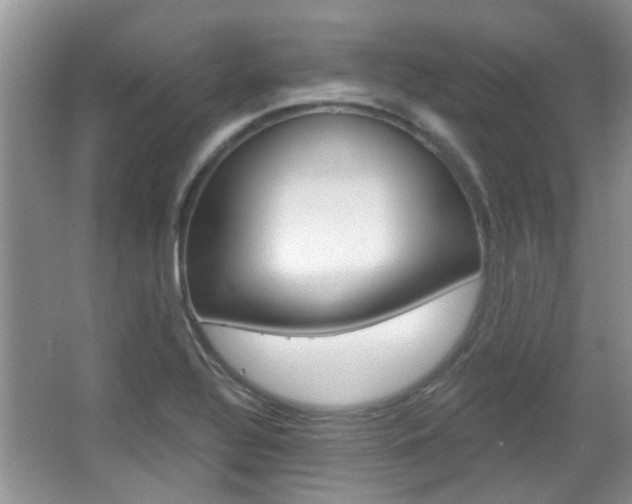 X0000067371320200603310944