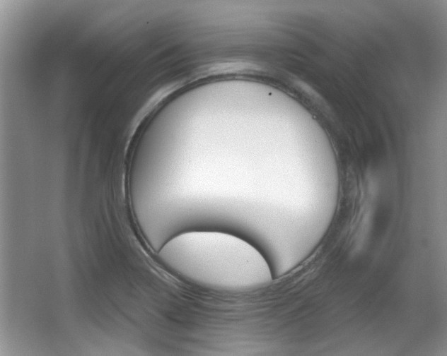 X0000067371322200603310944