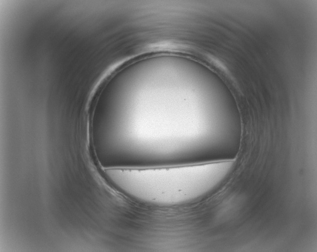 X0000067371323200603310944