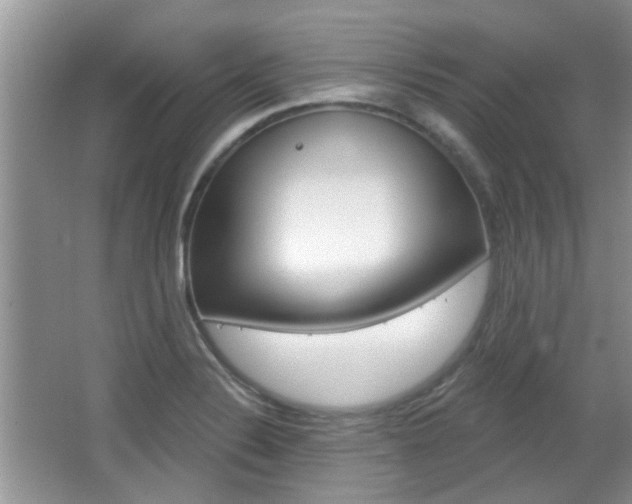 X0000067371324200603310944